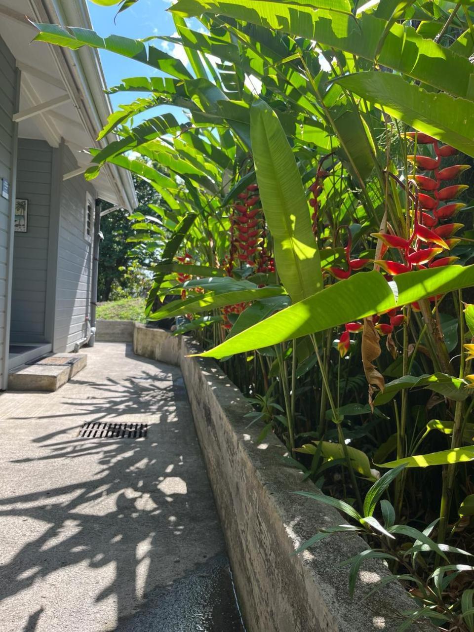Ti Kaz Karaib Villa Trois-Rivières Exteriör bild
